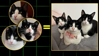 How to COMBINE Multiple Photos Into One Using AI 📸🤖 (Easy Tutorial) screenshot 5