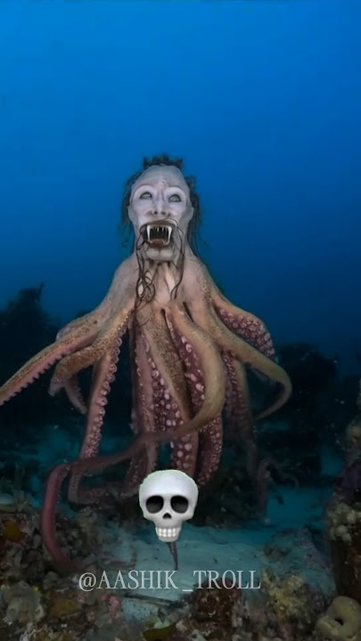 Octopus Can't be Scary 💀