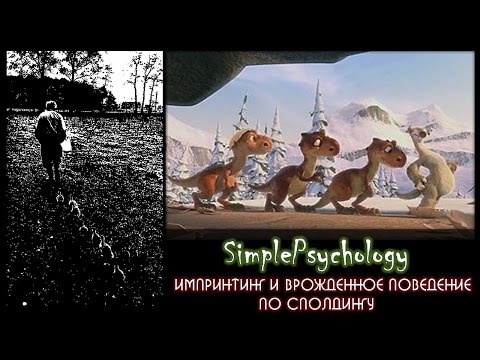 История зоопсихологии. Импринтинг и врожденное поведение по Сполдингу.