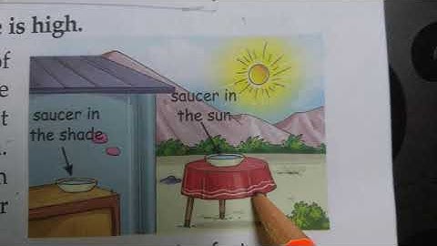 Class - 4, EVS , Chapter-5 Sources of Water , (Reading- Part 2)