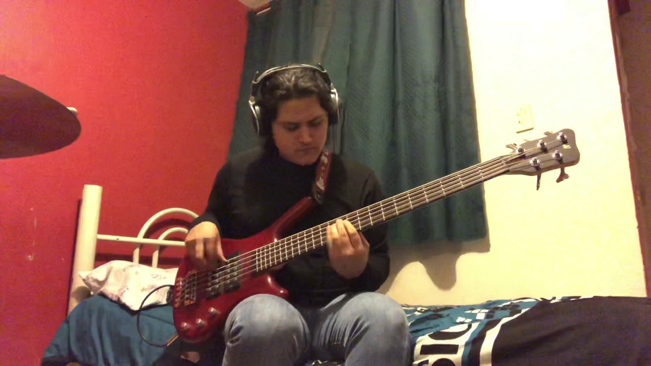 Dark Necessities Red Hot Chili Peppers BASS COVER YouTube
