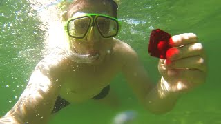 拿gopro 潛水拍攝時 該如何正確使用濾鏡 Rockpal 精彩世界任您掌握 拿gopro 潛水拍攝時 該如何正確使用濾鏡 Rockpal 精彩世界任您掌握