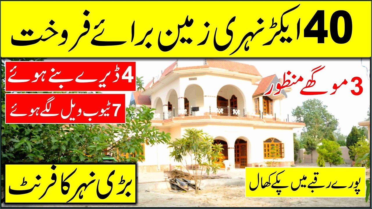 Land For Sale - 40 Acre Agriculture Land For Sale - Zari Zameen