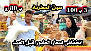 اسعار الطيور انخفاض وانهيار ❌ الفراخ اليوم بط بلدي رومي حمام من ارخص سوق في مصر والاسعار صدددمة ?