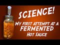 Fermented Habanero Mango Hot Sauce