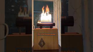 This Fire Dances To Music 🔥🎶 #speaker