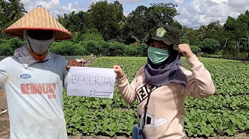 Petani Tetap Berproduksi saat Pandemi Covid-19