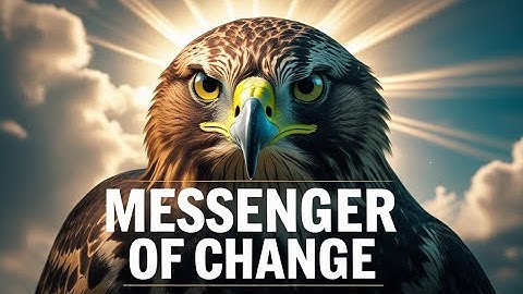 Hawk Spiritual Meaning 🦅 Messenger of Change!