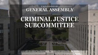 House Criminal Justice Subcommittee- March 12, 2025- House Hearing Room 2