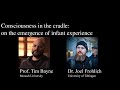 Consciousness in the Cradle: On the Emergence of Infant Experience by Tim Bayne &amp; Joel Frohlich