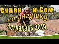 Рыбалка Астрахань 2019. Судак на лягушку.Сом на лягушку.