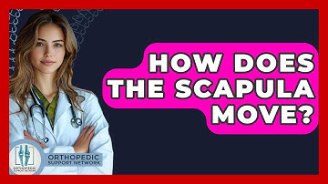 How Does The Scapula Move? - Orthopedic Support Network