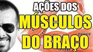 Vídeo Aula 108 - Anatomia Humana - Sistema Muscular: Ações dos Músculos do Braço