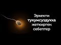 Эркектин тукумсуздугунун себептери//Bilesinbi.kg