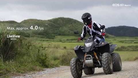 Canon EOS - The EOS 6D Mark II Viewfinder and Live View AF Systems