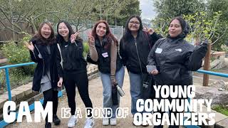 Community Action Model