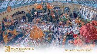 Bellagio Conservatory & Botanical Gardens Autumn 2025 Time-Lapse