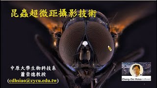昆蟲超微距攝影講座 (Exterme Macro Photography for Insects)