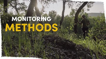 How we use technology to monitor ecosystem health | VLOG