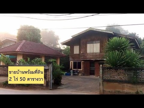 ต้นไม้ ที่ ควร ปลูก หลัง บ้าน  2022 Update  �ขายบ้านพร้อมที่ดิน หลังบ้านมีสวนผลไม้🌊ด้านหลังติดแม่น้ำ