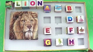 Puzzle Games For Kids Lion Puzzle Game Tutorial Children Kids Toddlers Babies screenshot 3