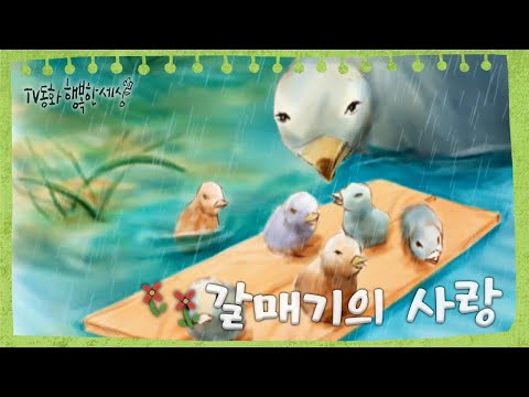 [TV동화 행복한 세상 ＃99][매일 <strong>AM10</strong>] 갈매기의 사랑