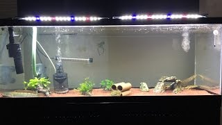 アクリル水槽1200x450x600 ちむの嫁の旦那ちゃん 楽天市場】水作 水槽セット NEW きんぎょファミリー S お一