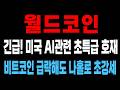 월드코인 긴급! "나스닥 상장 초특급 AI호재" 나스닥 폭락해도 나홀로 상승, 지금부터 코인 불장 옵니다 #엑스알피 #리플코인 #리플전망