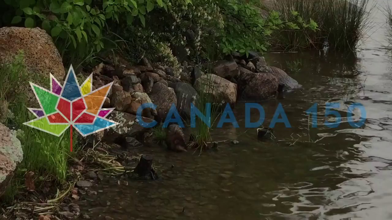 Georgian Bay and Canada Day