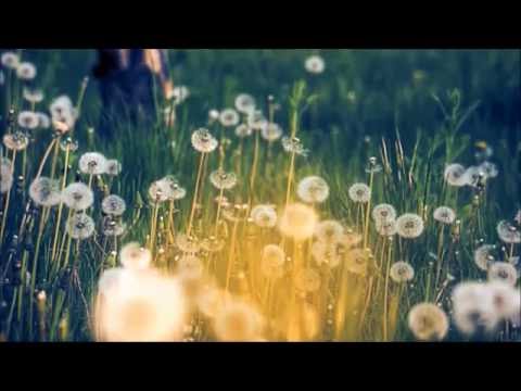 A Great Big World, Ft: Christina Aguilera - Say Something A Great Big World, Ft: Christina Aguilera - Say Something