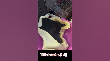 Hướng dẫn thay nước cho hồ chép phi tần đúng cách - Change water butterfly carp tank #butterflycarp