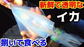 釣れたイカと根魚で作る海鮮ユッケ丼が美味すぎた！