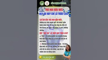 Trà Hoa Đậu Biếc – Đẹp Da Hay Chỉ Là Trào Lưu? | DINH DƯỠNG 24H