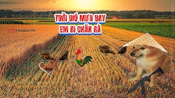 Nhạc chế Ding Ding TV: Trời gió mưa bay, em đi chăn gà