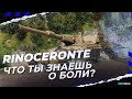 ЧТО ТЫ ЗНАЕШЬ О БОЛИ-RINOCERONTE - ГАЙД