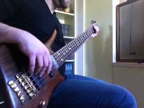 Chuck E.´s in love bass cover | Warwick Dolphin Pro 1 5 strings