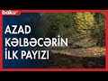 Azad Kəlbəcərin ilk payızından görüntülər - Baku TV