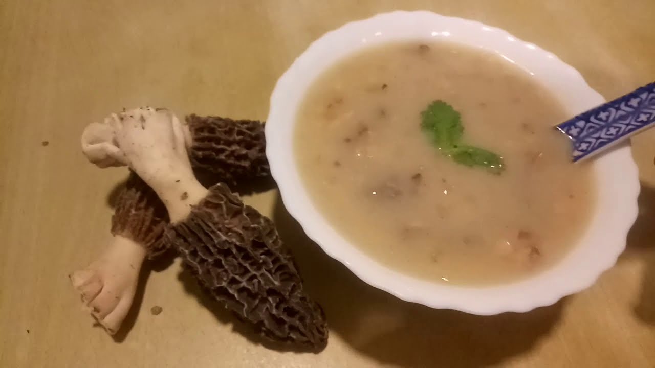 MOREL MUSHROOM SOUP YouTube