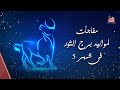 شهر 5 شهر ملئ بالنجاح على مواليد برج الثور