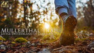 Secret Trail In Mullerthal Little Switzerland Of Luxembourg Eulenburg Rock Formation Cinematic