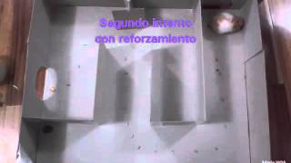 Pezoncito A Prueba Ll