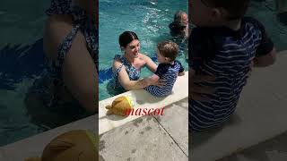 Fishy mosaic let’s go! #diy #interiordesign #bathroomreno