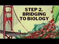 Could bioinspired concrete save a trillion dollars a year?