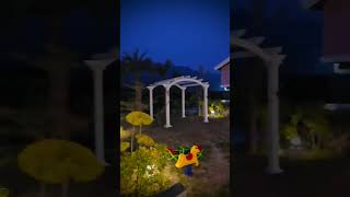 The Corbett Sapphire Resort Jim Corbett Ramnagar For Luxury Wedding And Events Or Party Wildsaffari