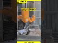Column Robot Debagging Machine | Automatic Bag Opening &amp; Emptying Solution #automation   #factory