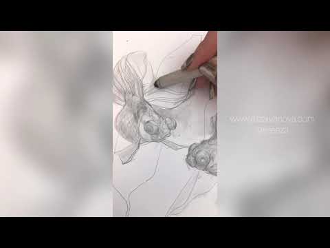 Goldfish Process Video | Eliza Ivanova