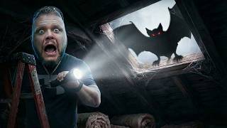 What's Living In Our Attic (We Found Out)