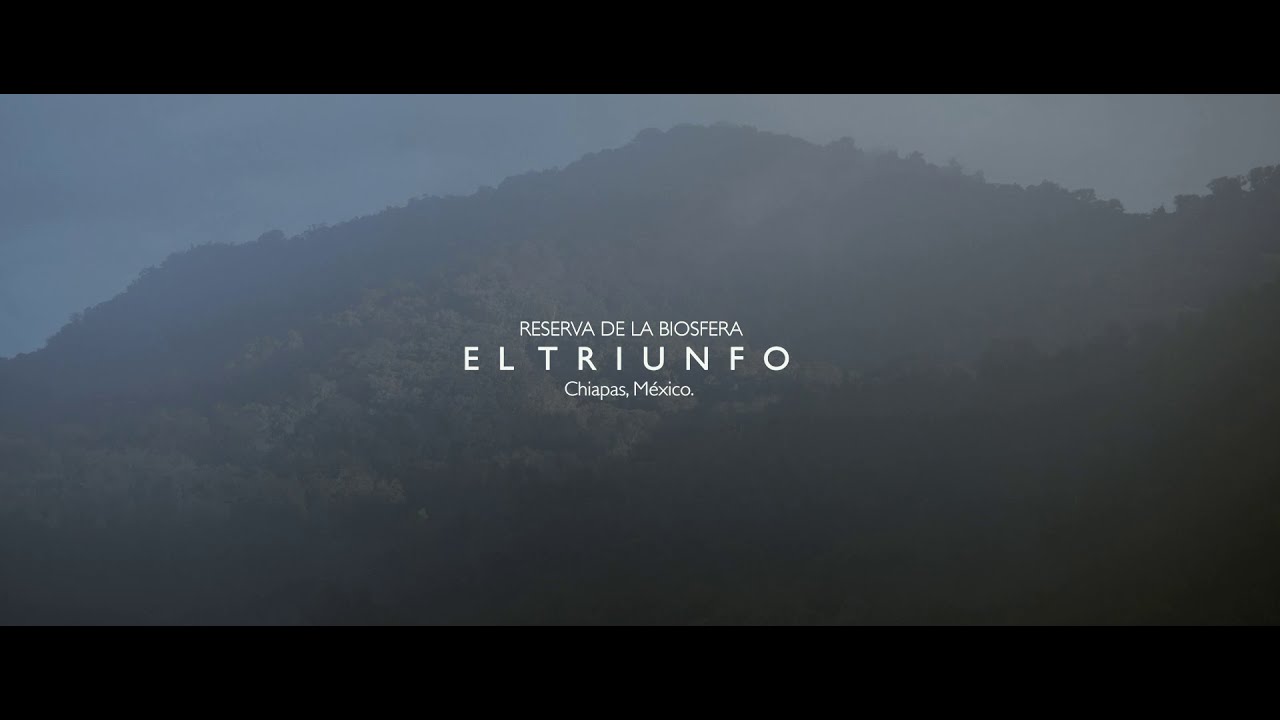 El Triunfo - YouTube