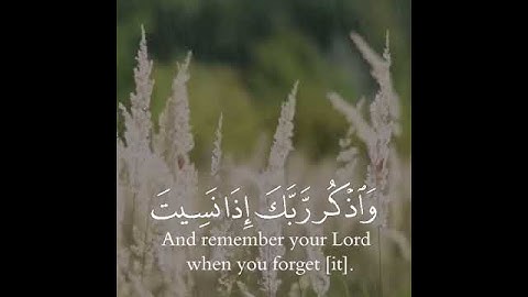 تلاوة هادئة وقصيرة | سورة الكهف  | إسلام صبحي | 🌷💚🌷