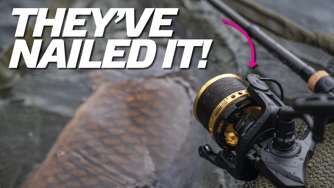 best sealed reels for surf fishing Top Surf Fishing Reels for Tough Saltwater Conditions